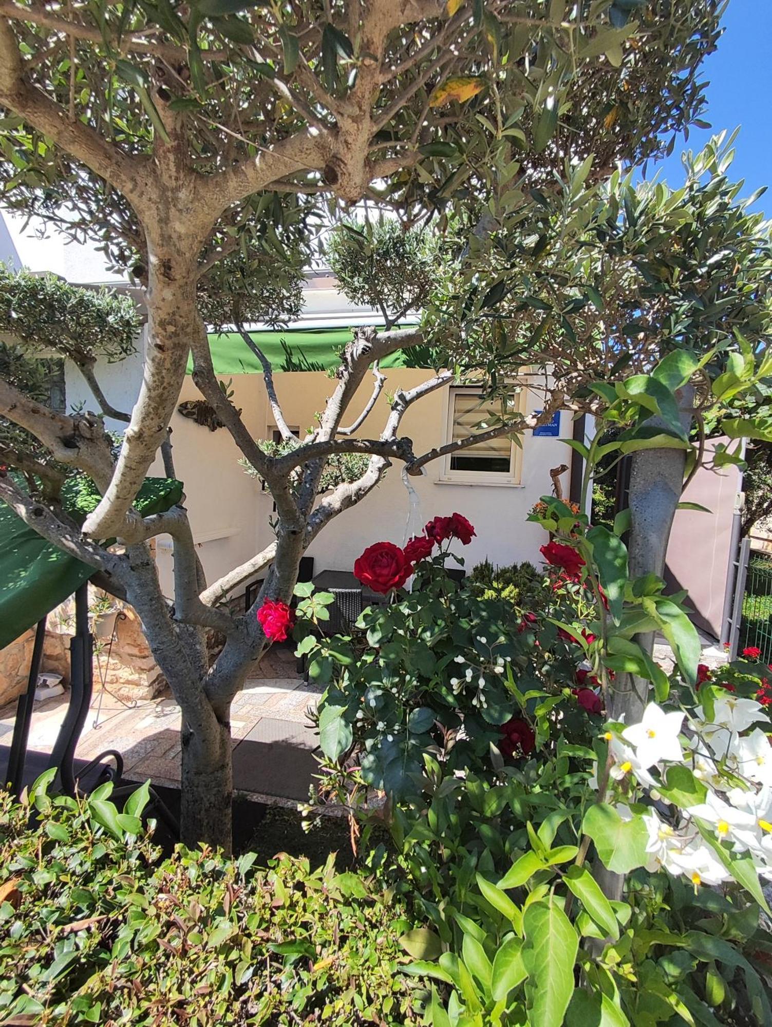 Susy Appartement Umag Buitenkant foto