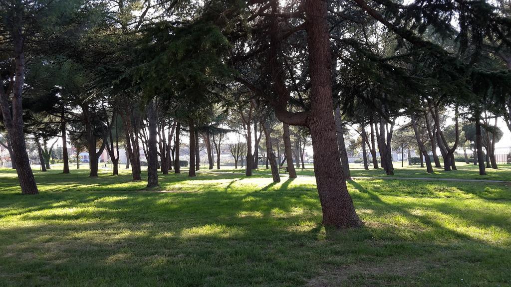Susy Appartement Umag Buitenkant foto